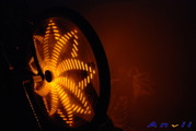 Golden Yellow:wheel-light-Y02.JPG